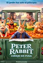 Peter Rabbit Conejo en fuga